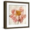 Antique Peony I-Christine Zalewski-Framed Art Print