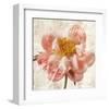 Antique Peony I-Christine Zalewski-Framed Art Print