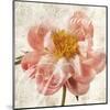 Antique Peony I-Christine Zalewski-Mounted Art Print