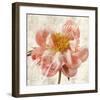 Antique Peony I-Christine Zalewski-Framed Art Print