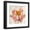 Antique Peony I-Christine Zalewski-Framed Art Print