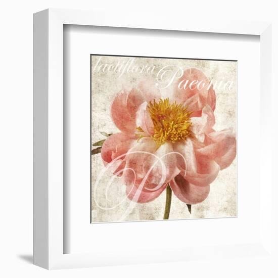 Antique Peony I-Christine Zalewski-Framed Art Print