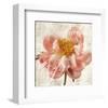 Antique Peony I-Christine Zalewski-Framed Art Print