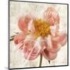 Antique Peony I-Christine Zalewski-Mounted Art Print