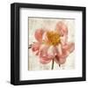 Antique Peony II-Christine Zalewski-Framed Art Print