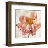 Antique Peony II-Christine Zalewski-Framed Art Print