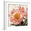 Antique Peony III-Christine Zalewski-Framed Art Print