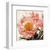 Antique Peony III-Christine Zalewski-Framed Art Print