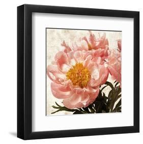 Antique Peony IV-Christine Zalewski-Framed Art Print