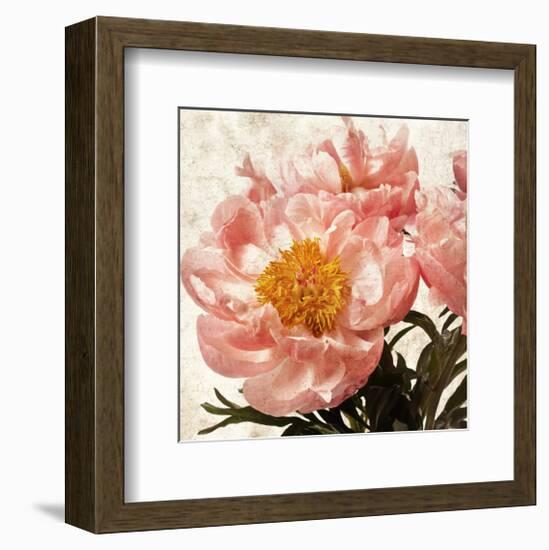 Antique Peony IV-Christine Zalewski-Framed Art Print