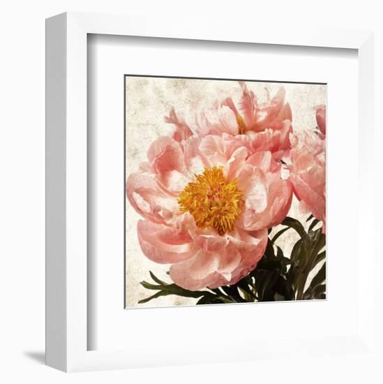 Antique Peony IV-Christine Zalewski-Framed Art Print