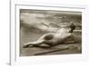 Antique photo of a Woman in a swimsuit-French School-Framed Photographic Print