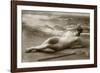 Antique photo of a Woman in a swimsuit-French School-Framed Photographic Print