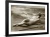 Antique photo of a Woman in a swimsuit-French School-Framed Photographic Print