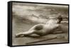 Antique photo of a Woman in a swimsuit-French School-Framed Stretched Canvas