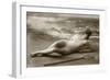 Antique photo of a Woman in a swimsuit-French School-Framed Photographic Print