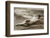 Antique photo of a Woman in a swimsuit-French School-Framed Photographic Print