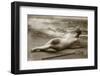 Antique photo of a Woman in a swimsuit-French School-Framed Photographic Print