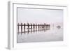 Antique Pier #103-Alan Blaustein-Framed Premium Photographic Print