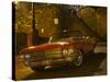 Antique Red Cadillac Parked in the Historic District, Savannah, Georgia, USA-Joanne Wells-Stretched Canvas