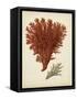 Antique Red Coral V-Vision Studio-Framed Stretched Canvas