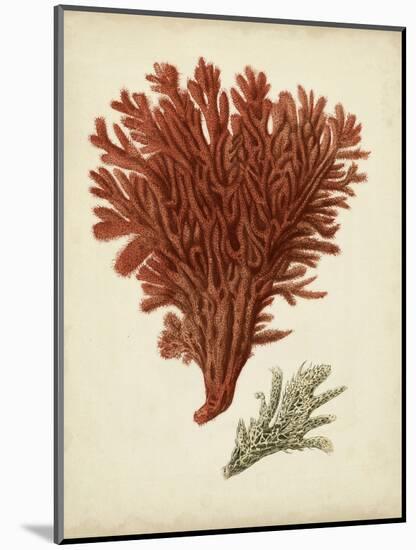 Antique Red Coral V-Vision Studio-Mounted Art Print