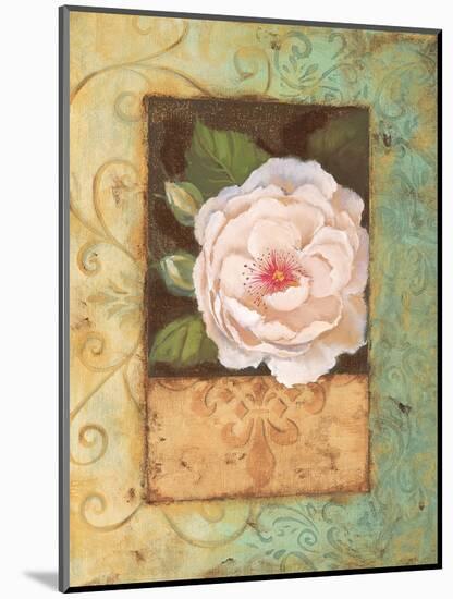 Antique Rose II-Jillian Jeffrey-Mounted Art Print