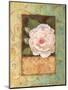 Antique Rose II-Jillian Jeffrey-Mounted Art Print