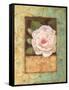 Antique Rose II-Jillian Jeffrey-Framed Stretched Canvas