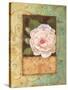 Antique Rose II-Jillian Jeffrey-Stretched Canvas