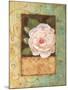 Antique Rose II-Jillian Jeffrey-Mounted Art Print
