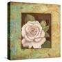 Antique Rose III-Jillian Jeffrey-Stretched Canvas