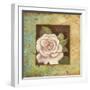 Antique Rose III-Jillian Jeffrey-Framed Art Print