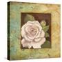 Antique Rose III-Jillian Jeffrey-Stretched Canvas