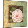 Antique Rose IV-Jillian Jeffrey-Mounted Art Print