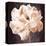 Antique Rose-Christine Zalewski-Stretched Canvas