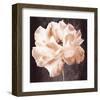 Antique Rose-Christine Zalewski-Framed Art Print