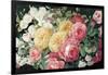 Antique Roses on Black Crop-Danhui Nai-Framed Art Print