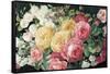 Antique Roses on Black Crop-Danhui Nai-Framed Stretched Canvas