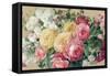 Antique Roses on Tan Crop-Danhui Nai-Framed Stretched Canvas