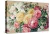 Antique Roses on Tan Crop-Danhui Nai-Stretched Canvas