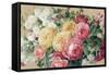 Antique Roses on Tan Crop-Danhui Nai-Framed Stretched Canvas