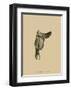 Antique Saddle II-null-Framed Art Print