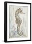 Antique Sea Horse I-Patricia Pinto-Framed Art Print