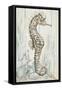 Antique Sea Horse I-Patricia Pinto-Framed Stretched Canvas