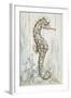 Antique Sea Horse I-Patricia Pinto-Framed Art Print