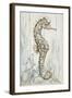 Antique Sea Horse I-Patricia Pinto-Framed Art Print