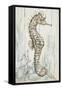 Antique Sea Horse I-Patricia Pinto-Framed Stretched Canvas