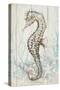 Antique Sea Horse II-Patrcia Pinto-Stretched Canvas