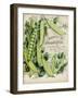 Antique Seed Packets V-Unknown-Framed Art Print